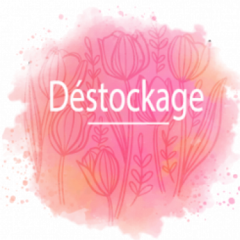 déstock eclatsdedouceur